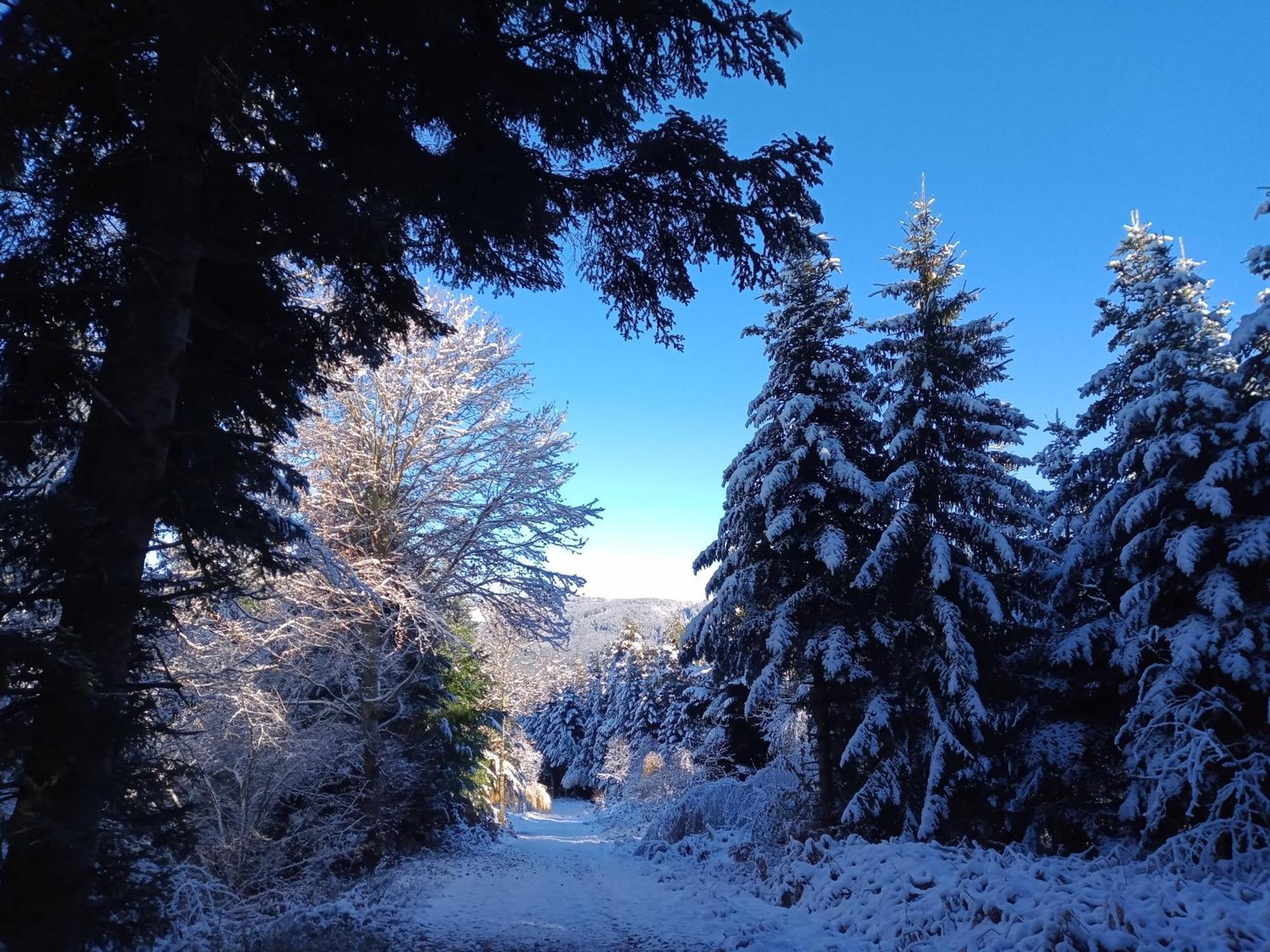 Gite Des 3 Etangs Malvières Exterior foto